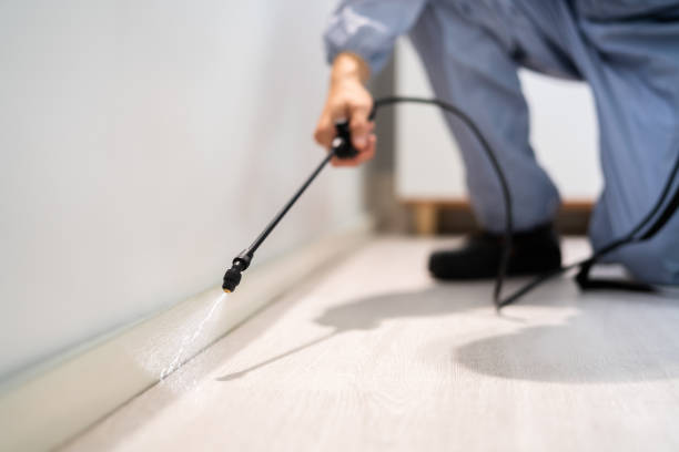 Licensed Rodent Control service in Washington County County, MD - Nex Pest Control